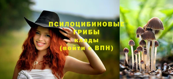 стафф Гусь-Хрустальный