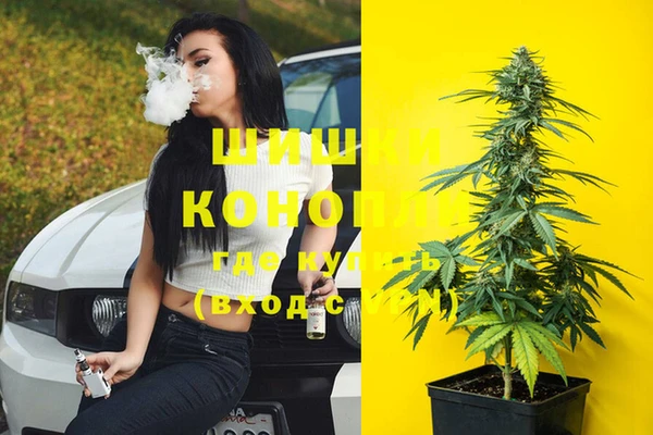стафф Гусь-Хрустальный