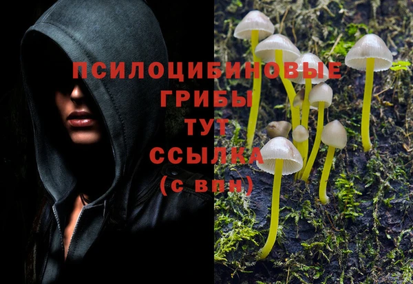 меф Гусев