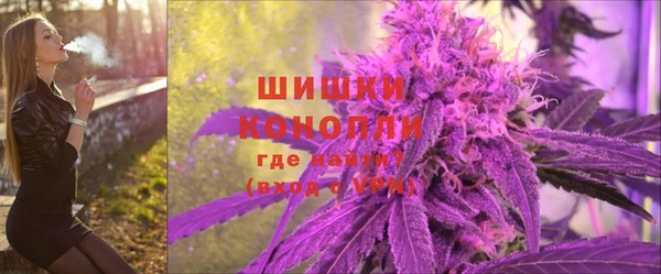 стафф Гусь-Хрустальный