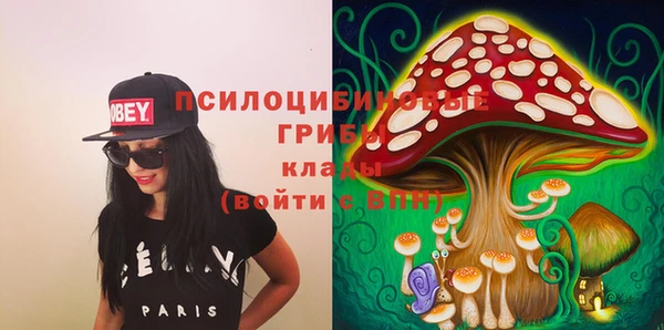 стафф Гусь-Хрустальный