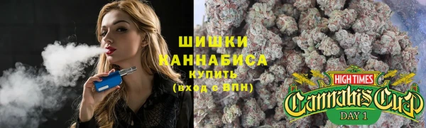 стафф Гусь-Хрустальный