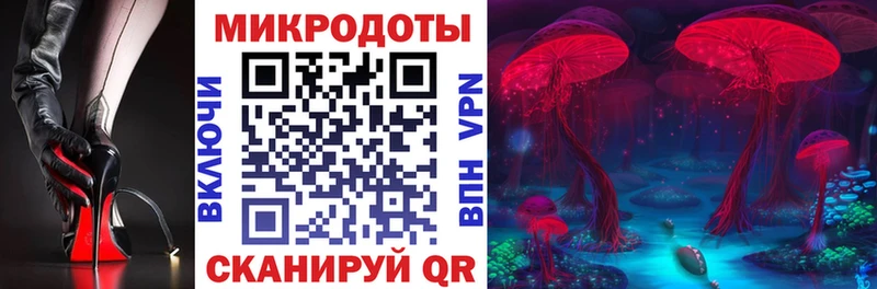 Купить закладки  Мурино  Галлюциногенные грибы MAGIC MUSHROOMS 